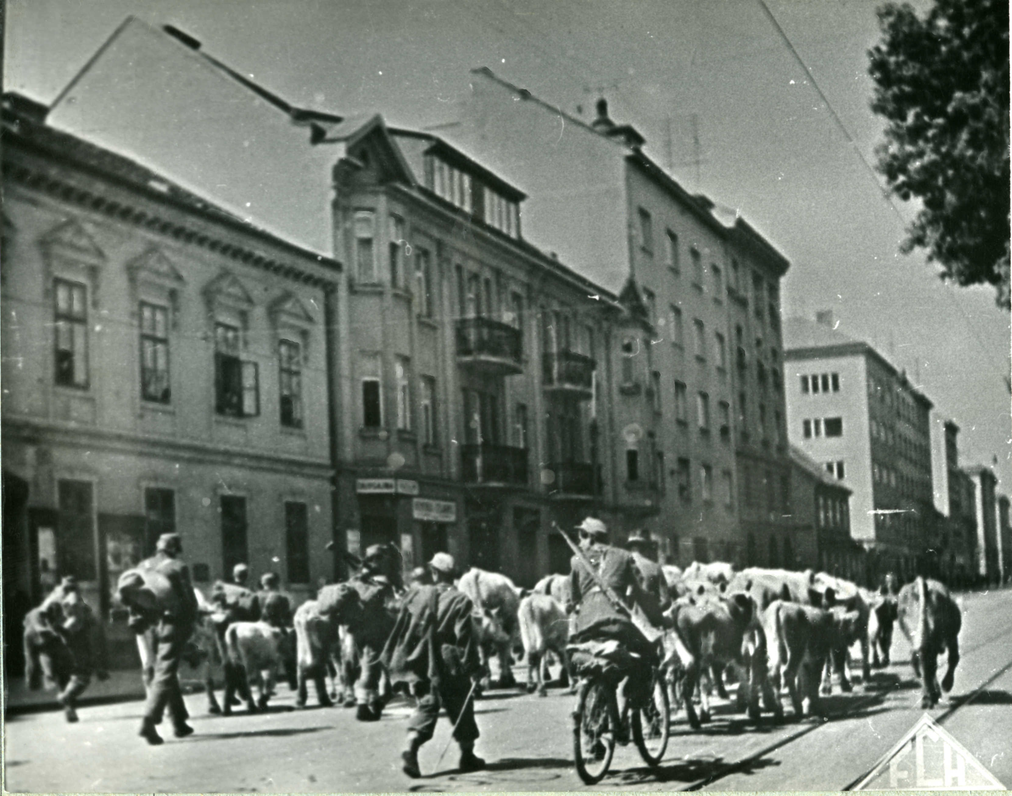 Izvor: Martina Grahek Ravančić, Bleiburg i križni put 1945. Historiografija, publicistika i memoarska literatura, Zagreb 2009.